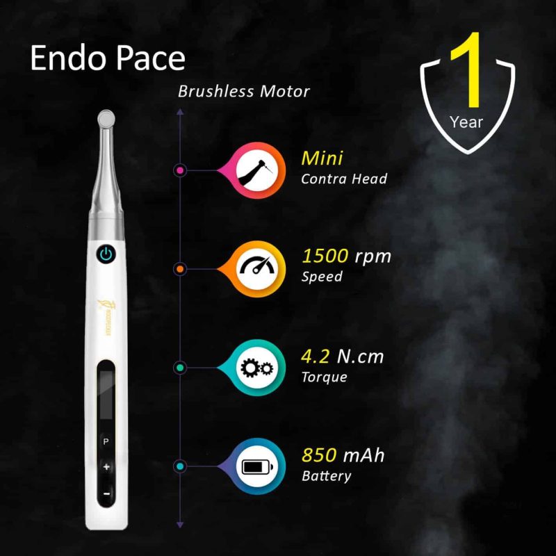 Woodpecker EndoPace Endomotor