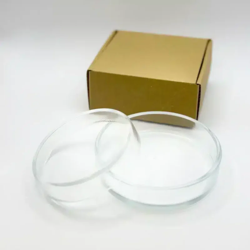 DÜZ CAM PETRİ KUTUSU 1 BÖLÜM