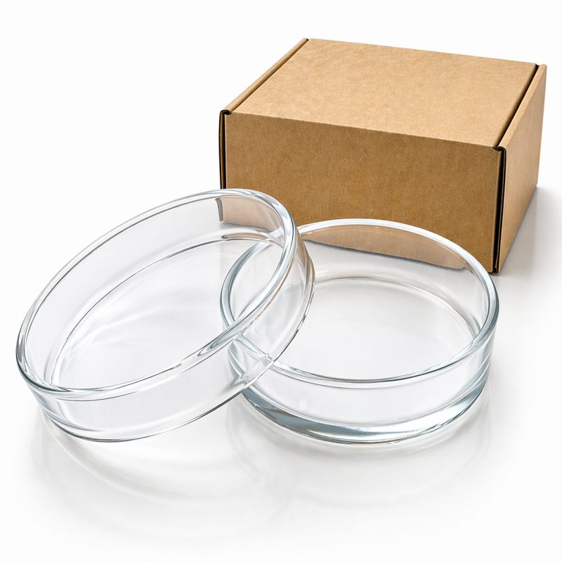 DÜZ CAM PETRİ KUTUSU 1 BÖLÜM