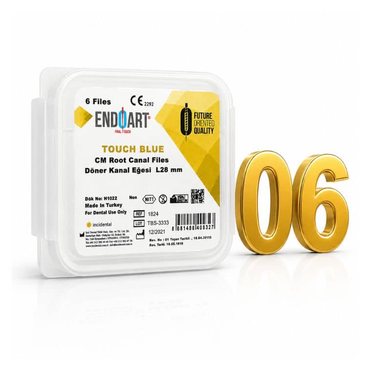 Touch Gold Blue Kit 0.6 Döner Kanal Eğesi