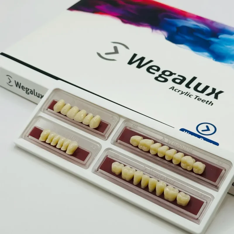 Wegaluk Akrilik Takım Diş 28 Lik 1 takım
