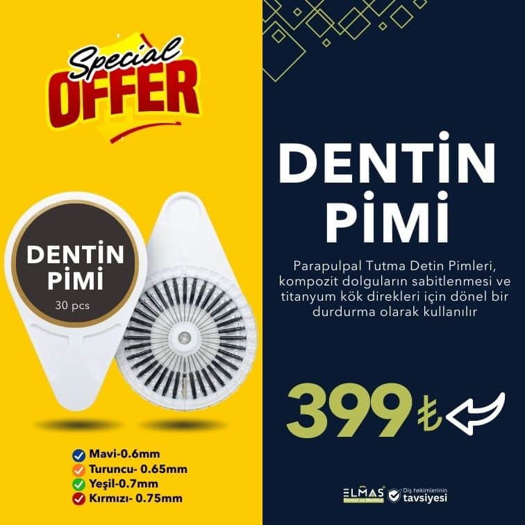 DENTİN PİMİ