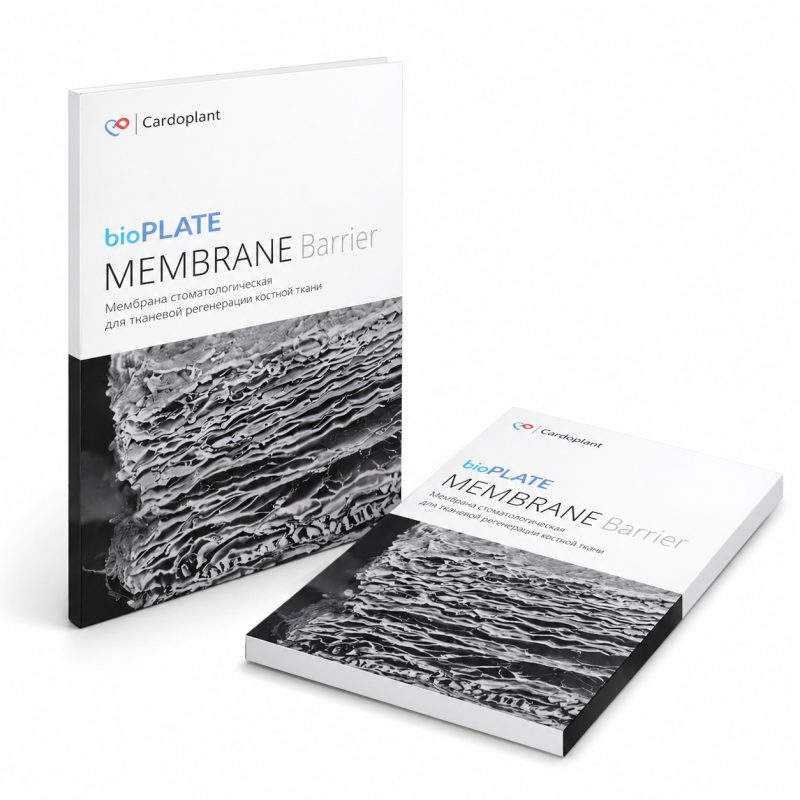 BioPlate Membrane Barrier – Premium Doku Rejenerasyon Membranı 1 adet