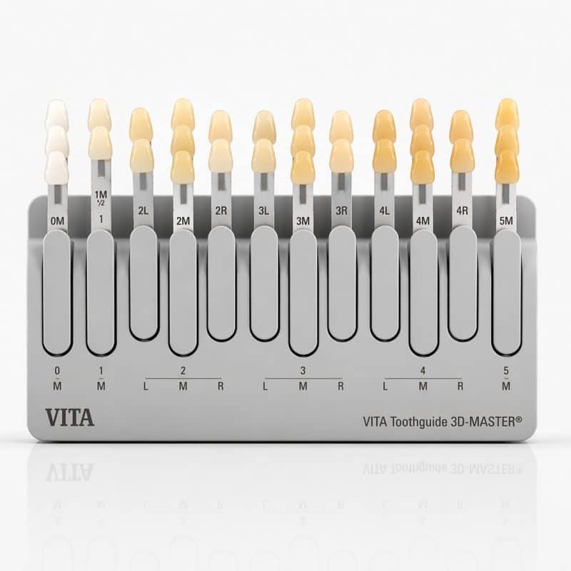 VITA 3D-MASTER® Renk Skalası