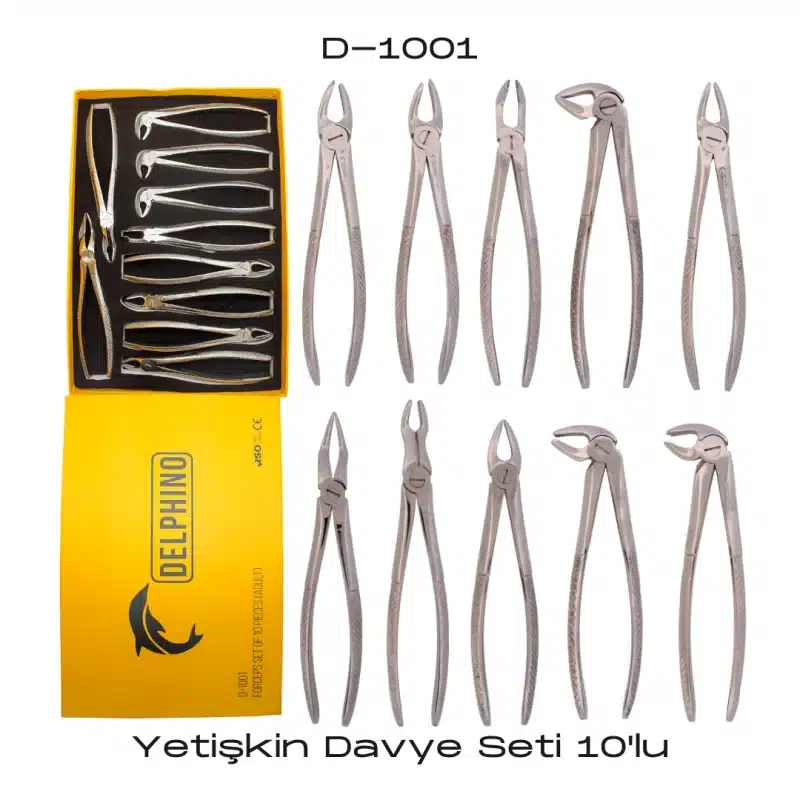 DELPHİNO Yetişkin Davye Seti (10’lu)