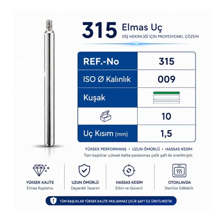 315 Elmas Frez ISO 009 Dental Elmas Uç 10'lu Paket