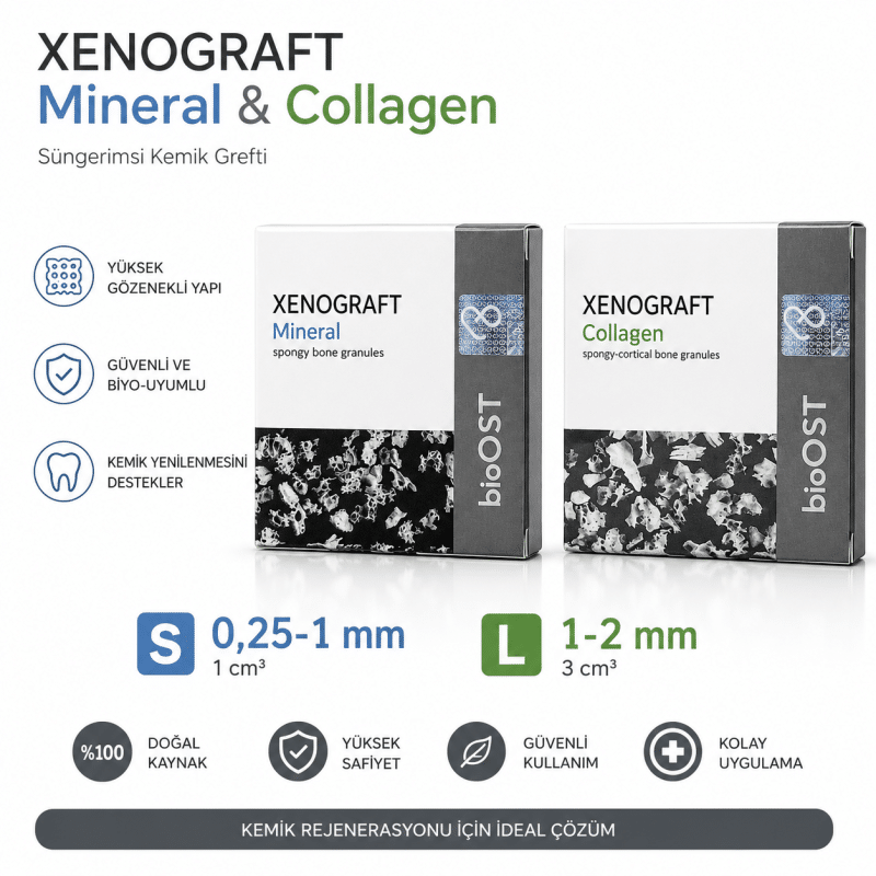 BioOST Xenograft Mineral Süngerimsi Kemik Grefti