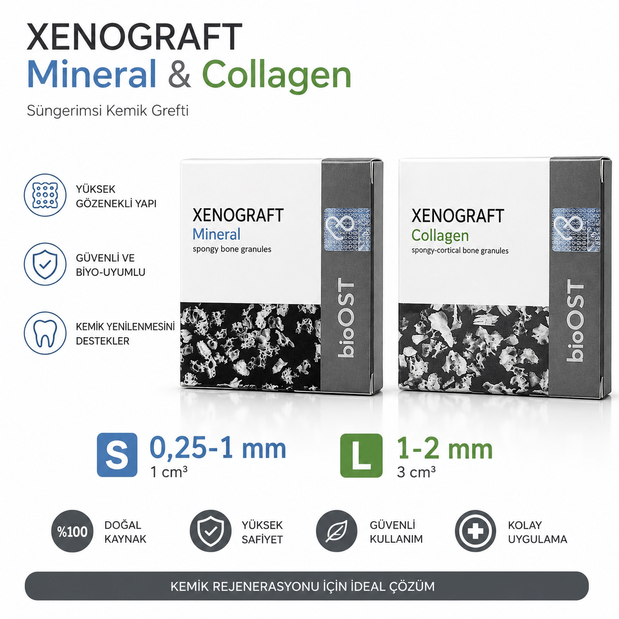 BioOST Xenograft Mineral Süngerimsi Kemik Grefti