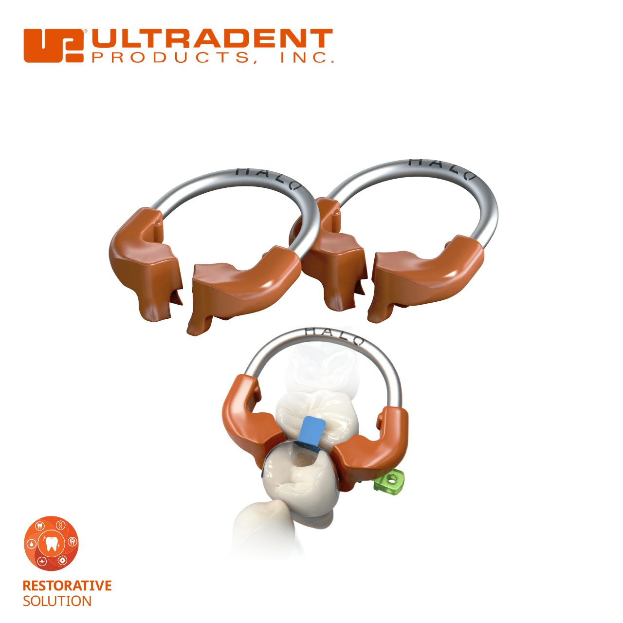 Halo Universal Molar Ring