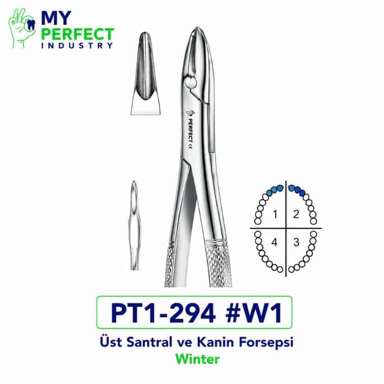 My Perfect Industry PT1-294 #W1 Winter Üst Santral ve Kanin Forsepsi