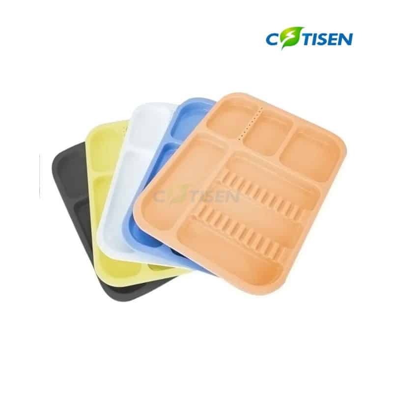 Cotisen Otoklavlanabilir Dental Alet Tepsisi