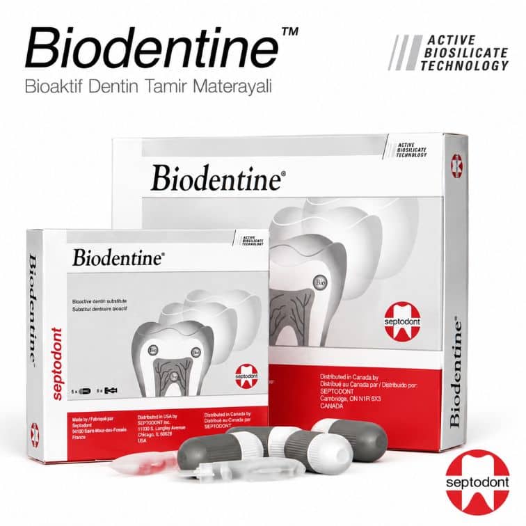 Septodont Biodentine – Biyoaktif Dentin Tamir Materyali