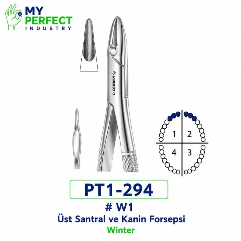 My Perfect Industry PT1-294 #W1 Winter Üst Santral ve Kanin Forsepsi
