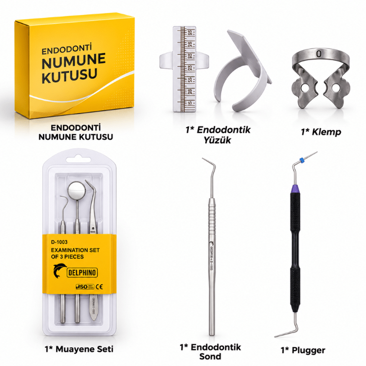 Schwarzes & Delphino Premium Restoratif Diş Hekimliği Tanıtım ve Numune Seti