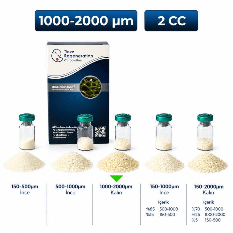 BioGenix İnsan Kaynaklı Greft (Kemik Tozu) 1000–2000 µm, 2 cc