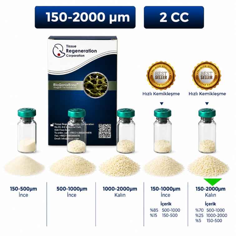 BioGenix İnsan Kaynaklı Greft (Kemik Tozu) 150–2000 µm, 2 cc – 29043