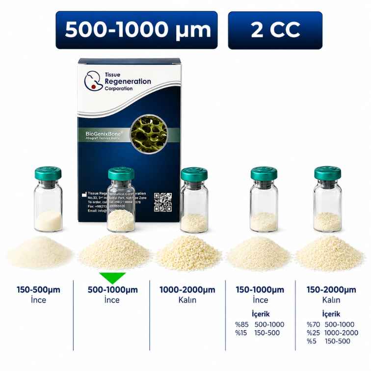 BioGenix İnsan Kaynaklı Greft (Kemik Tozu) 500–1000 µm, 2 cc – 29023